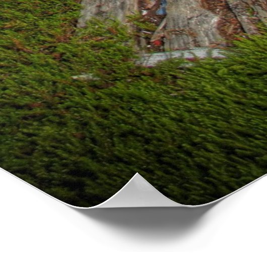 2回考え ポスター (角)