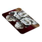 2天のエンジェルチェルーブ マグネット (右側)