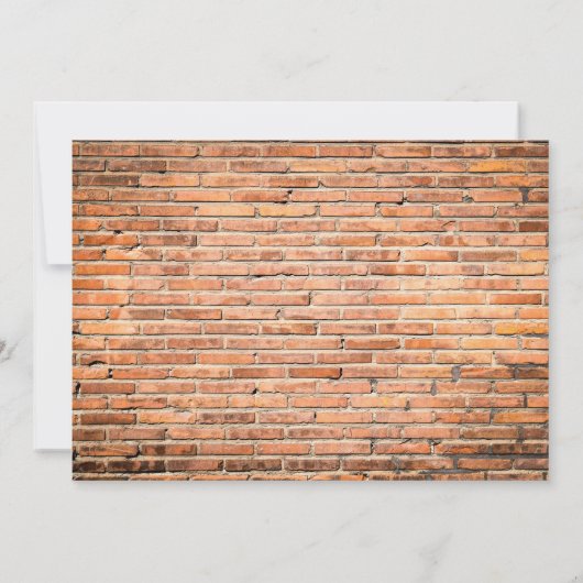 2年間の共同誕生日パーティー2xフォト応援 招待状 (裏面)