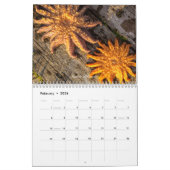 2年間2024 /2025カレンダー カレンダー (2月 2026)