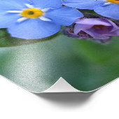 2忘れ-Me-Nots 10x8 フォトプリント (角)