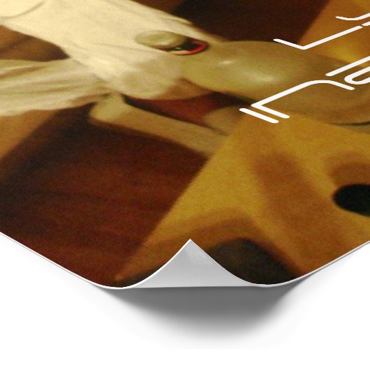 2新たな叙情的不十分 ポスター (角)