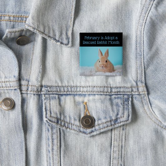 2月が保護ウサギの月ボタンを採用 缶バッジ (インサイチュ)