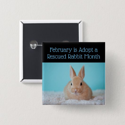 2月が保護ウサギの月ボタンを採用 缶バッジ (正面&裏面)
