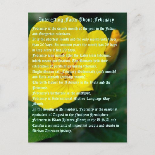 2月についての興味深い事実 ポストカード (正面)