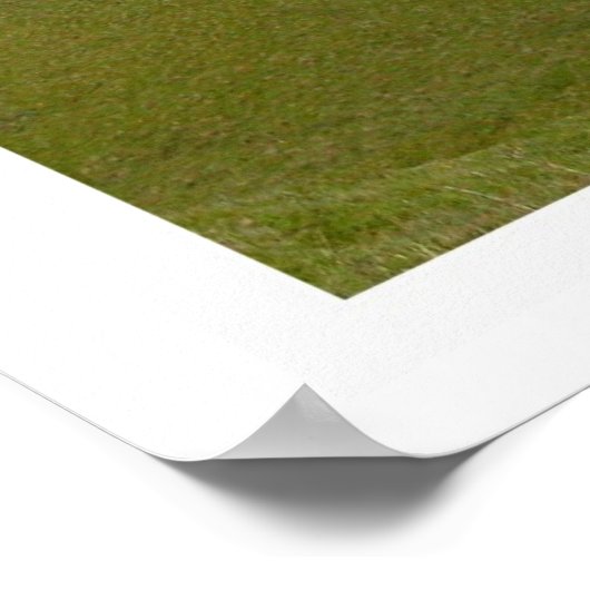 2月のバルディ ポスター (角)