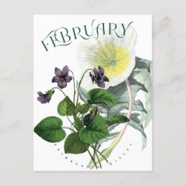 2月の花PrimroseとViolet ファンシー ポストカード
