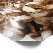 2月アジサイ フォトプリント            (角)