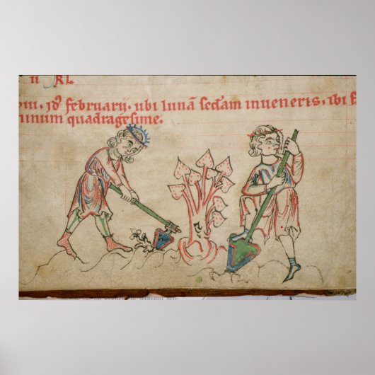 2月：ホーイング ポスター (正面)