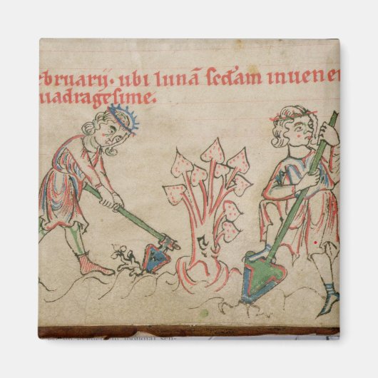 2月：ホーイング マグネット (正面)