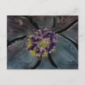 2月 ポストカード (正面)