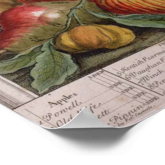 2月， '12ヶ月の果実' ポスター (角)