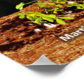 2本のレッドウッドのトランク ポスター (角)