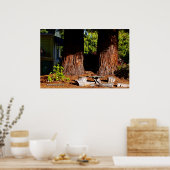 2本のレッドウッドのトランク ポスター (キッチン)