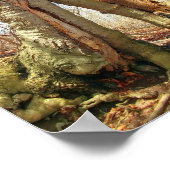 2本の木が一緒に生えていた ポスター (角)