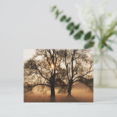2本の木　セピアゴールドオレンジ ポストカード (スタンド正面)