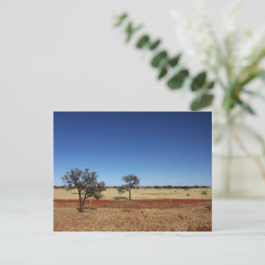 2本の木 ポストカード (スタンド正面)