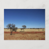 2本の木 ポストカード (正面)