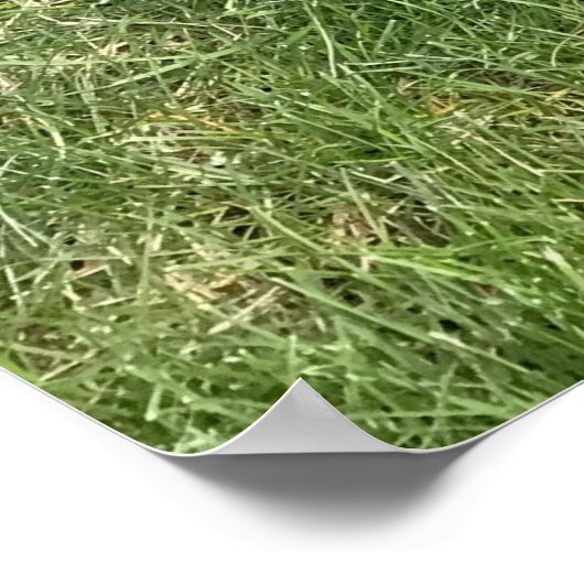 2本の棒を持つブラックラボ犬の写真と名前 ポスター (角)