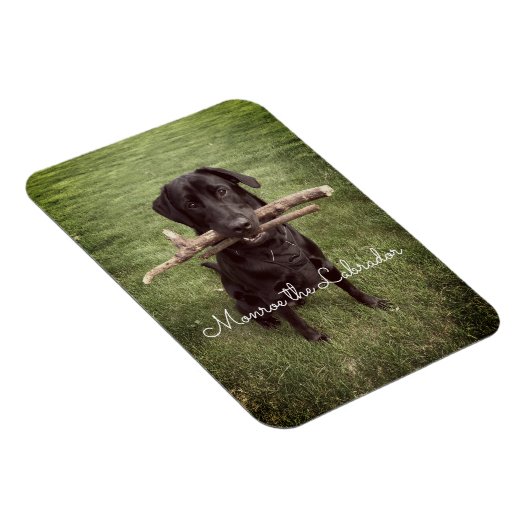 2本の棒を持つブラックラボ犬の写真と名前 マグネット (右側)