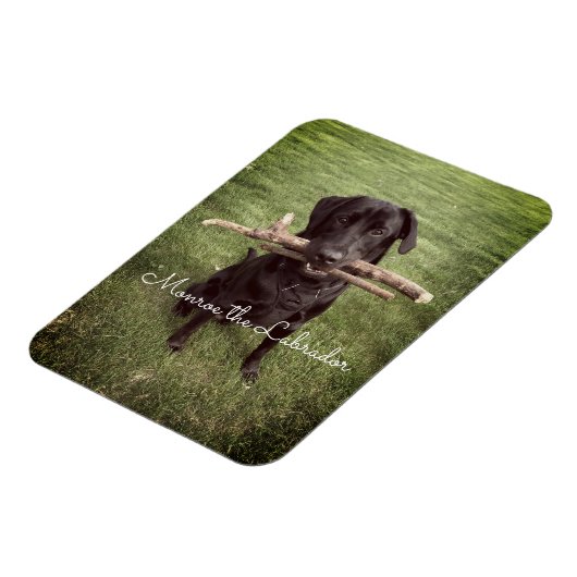 2本の棒を持つブラックラボ犬の写真と名前 マグネット (左側)