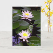 2本の軽水ユリ カード (黄色い花)