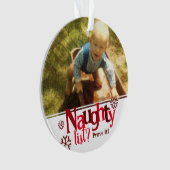 2枚いけなの写真クリスマス オーナメント (正面)