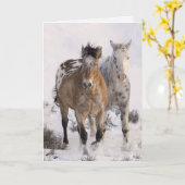 2枚のアパルオサス馬のグリーティングカード カード (黄色い花)