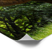 2枚のハンピングラクダのポスター ポスター (角)