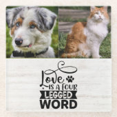 2枚のパーソナライズされたフォトペットグラスのコースター ガラスコースター (正面)