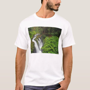 2枚の写真に収まるオリンピック国立公園のSol+Duc+滝 Tシャツ