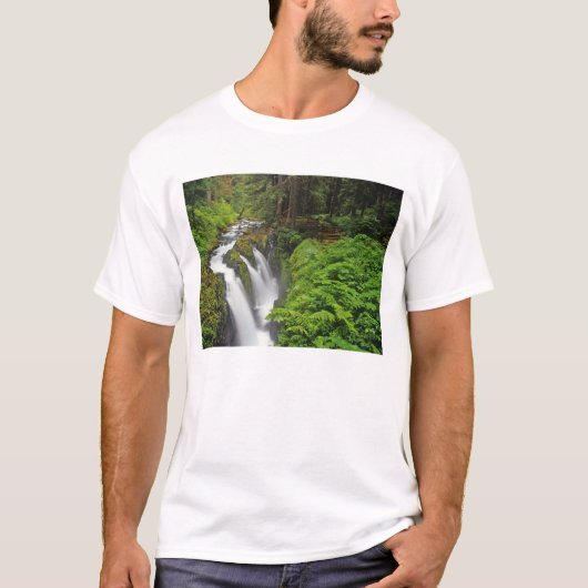 2枚の写真に収まるオリンピック国立公園のSol+Duc+滝 Tシャツ (正面)