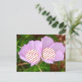 2枚の写真のための2枚のケシのフレーム ポストカード (スタンド正面)