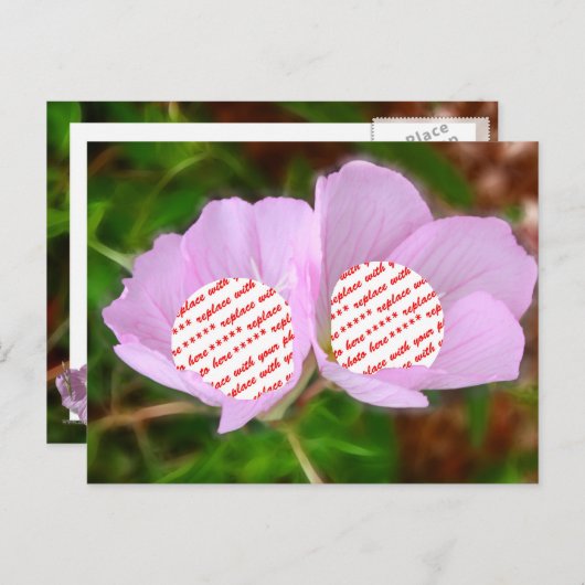 2枚の写真のための2枚のケシのフレーム ポストカード (正面/裏面)