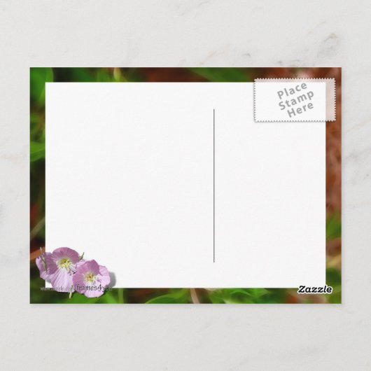 2枚の写真のための2枚のケシのフレーム ポストカード (裏面)