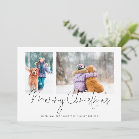 2枚の写真スクリプトファミリーと犬メリークリスマス (スタンド正面)