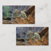 2枚の好奇心をそそった名刺 名刺 (正面/裏面)