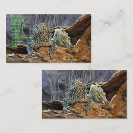 2枚の好奇心をそそった名刺 名刺 (正面/裏面)