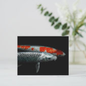 2枚の魚はがき ポストカード (スタンド正面)