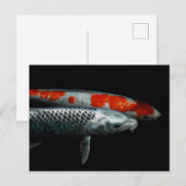 2枚の魚はがき ポストカード (正面/裏面)