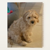 2枚カスタムの両面パーソナライズされた写真 プランナー手帳 (裏面)