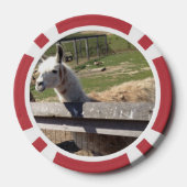 2枚カスタムの写真写真パーソナライズされた ポーカーチップ (裏面)