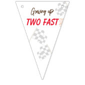 2歳の誕生日を早く迎える バンティングフラッグ (第1の旗)