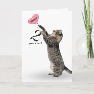 2歳の誕生日タビー猫 カード