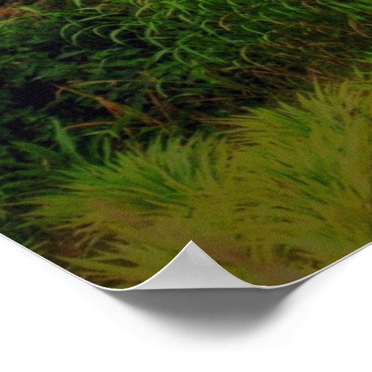 2歴代誌7:14 ポスター (角)