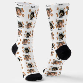 2犬写真2名+骨&前版画 – 白 ソックス