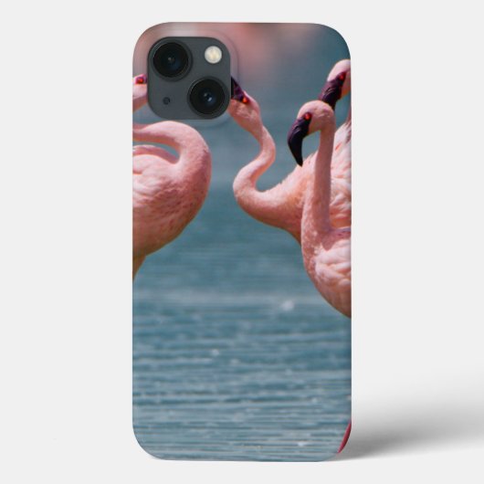 2男性少しフラミンゴ(Phoenicopterusの未成年者) Case-Mate iPhoneケース (裏面)