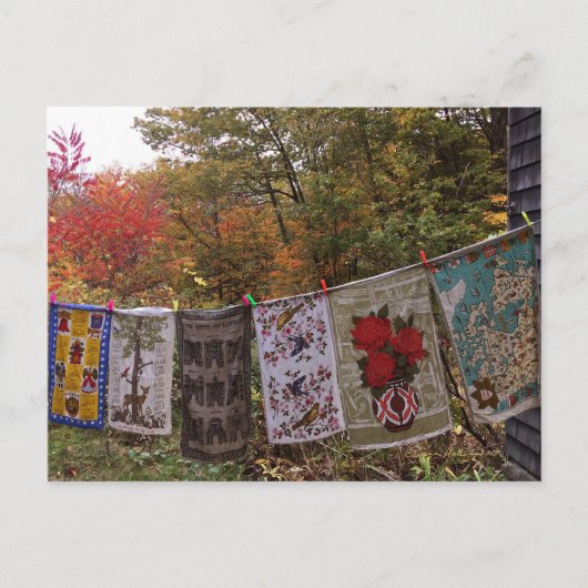 2番つる葉書ヴィンテージ物干し ポストカード (正面)