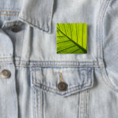 2種の熱葉帯葉の緑色のベインを付けた葉 缶バッジ (インサイチュ)