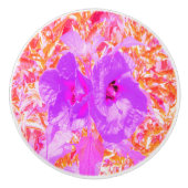 2紫とホットピンクの梅ハイビ熱狂するスカス セラミックノブ (正面)